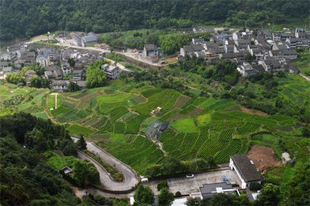 鋼結構住宅施工方案（鋼結構住宅施工成本控制）