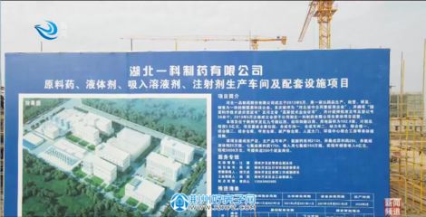 河北加固有限公司（建筑結構抗震技術解析，河北加固公司客戶評價）