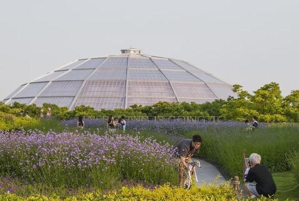 鋼結構玻璃建筑造型藝術館