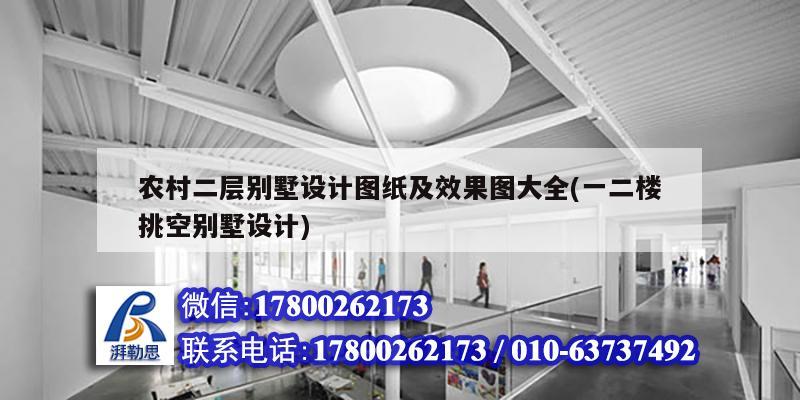 農村二層別墅設計圖紙及效果圖大全(一二樓挑空別墅設計) 鋼結構蹦極施工