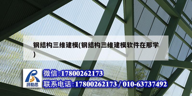 鋼結構三維建模(鋼結構三維建模軟件在那學) 結構工業裝備設計